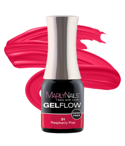 GelFlow - 31 / 1