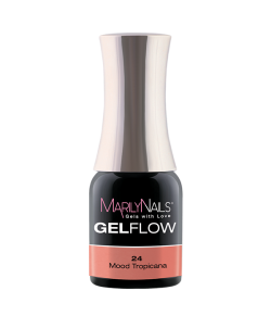 GelFlow - 24 / 1