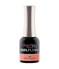 GelFlow - 24 / 1
