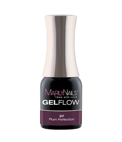 GelFlow - 37 / 2