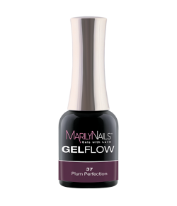 GelFlow - 37 / 2