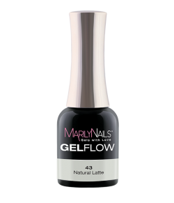 GelFlow - 43 / 1
