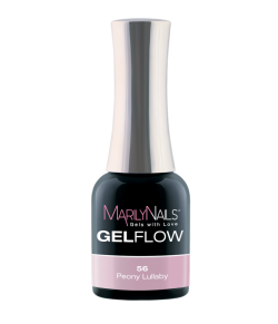 GelFlow - 56 / 2