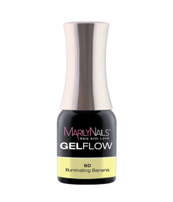 GelFlow - 60 / 3