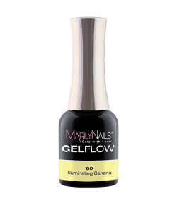 GelFlow - 60 / 3