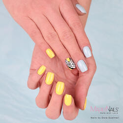 GelFlow - 53 / 2