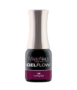 GelFlow - 38 / 2